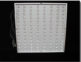led plant light