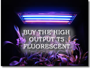 led grow lights