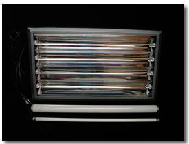 fluorescent grow light